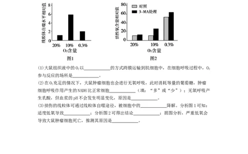 专题23人体的内环境与稳态（精练）（原卷版）_2024年新高考资料_1.2024一轮复习_备战2024年高考生物一轮复习串讲精练（新高考专用）