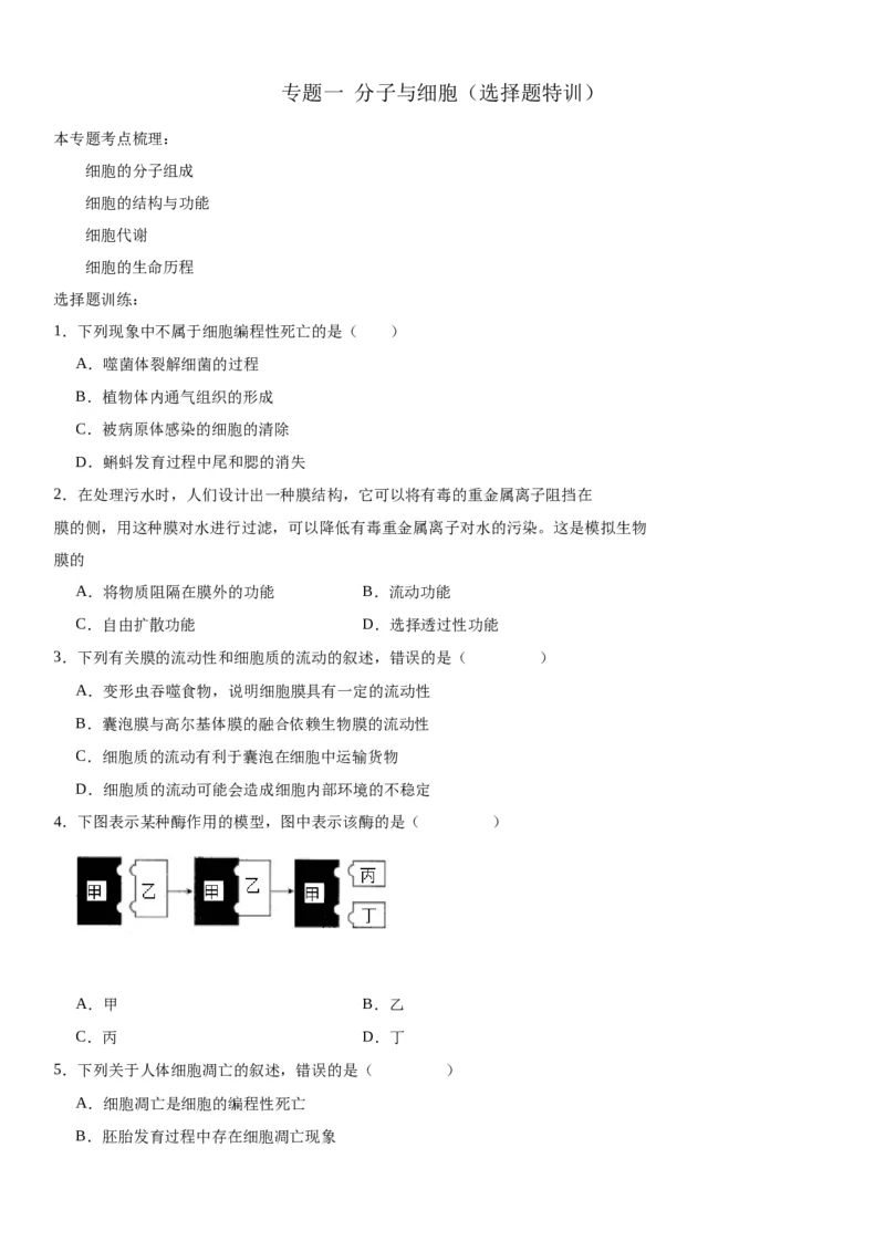 专题一分子与细胞（选择题特训）-2024年高考生物二轮复习专题训练（全国通用）（原卷版）_2024年新高考资料_2.2024二轮复习_2024年高考生物二轮复习专题训练（全国通用）