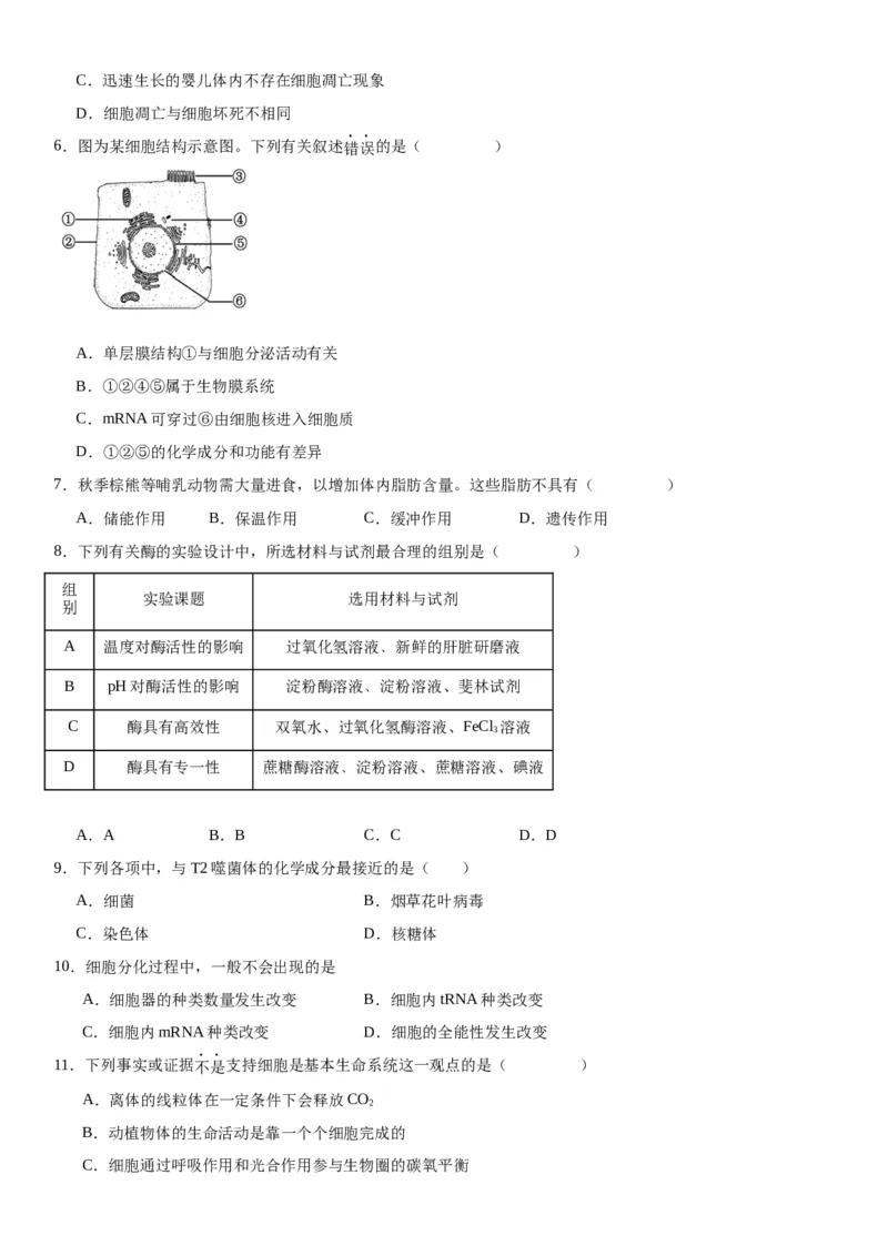 专题一分子与细胞（选择题特训）-2024年高考生物二轮复习专题训练（全国通用）（原卷版）_2024年新高考资料_2.2024二轮复习_2024年高考生物二轮复习专题训练（全国通用）