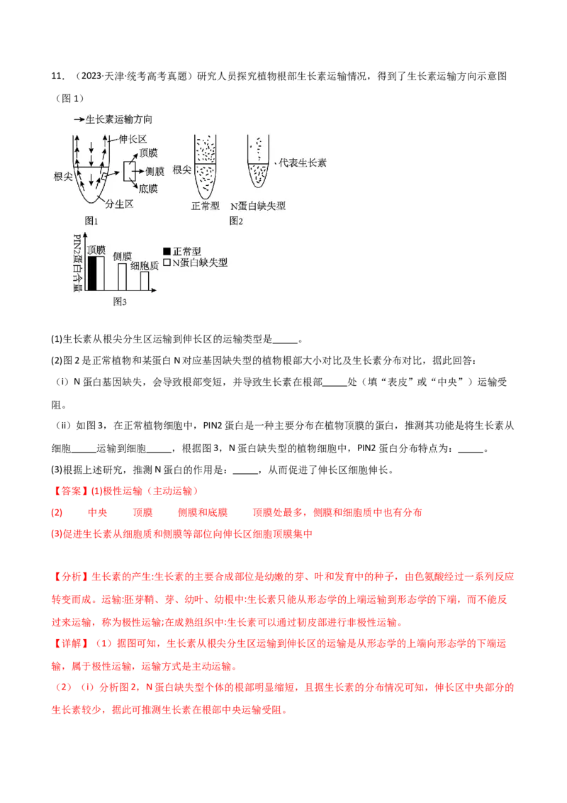 宝典17植物的激素调节（解析版）_2024年新高考资料_1.2024一轮复习_2024年高考生物一轮复习知识清单