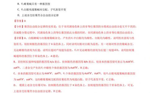 宝典10伴性遗传和人类遗传病（解析版）_2024年新高考资料_1.2024一轮复习_2024年高考生物一轮复习知识清单