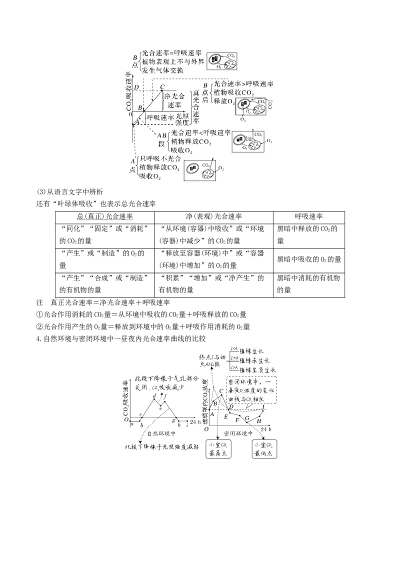 专题03细胞的能量供应和利用（原卷版）_2024年新高考资料_3.2024专项复习_2024年高考生物热点&middot;重点&middot;难点专练（新高考专用）