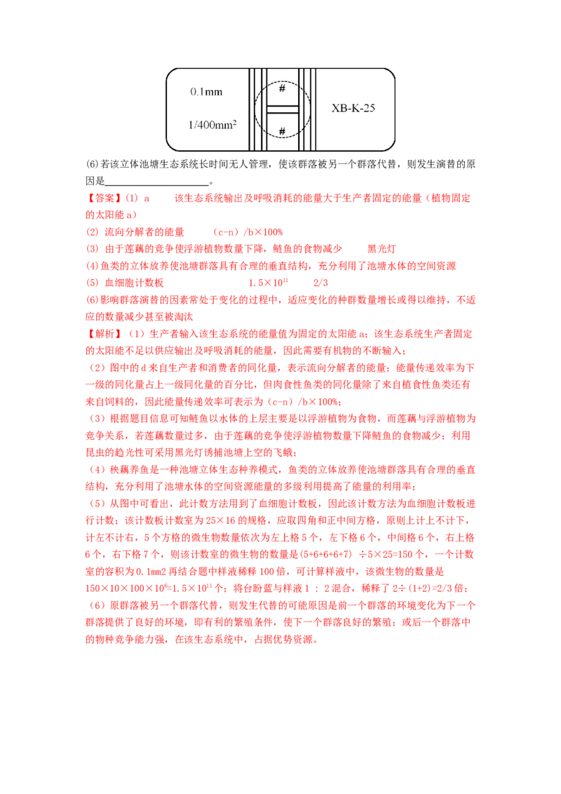 专题20生态系统（解析版）_2024年新高考资料_1.2024一轮复习_备战2024年高考生物一轮复习抢分特训（全国通用）_专题20生态系统-备战2024年高考生物一轮复习抢分特训（全国通用）