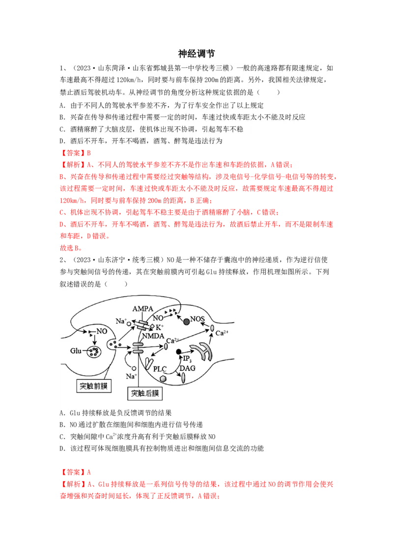 专题24神经调节（精练）（解析版）_2024年新高考资料_1.2024一轮复习_备战2024年高考生物一轮复习串讲精练（新高考专用）