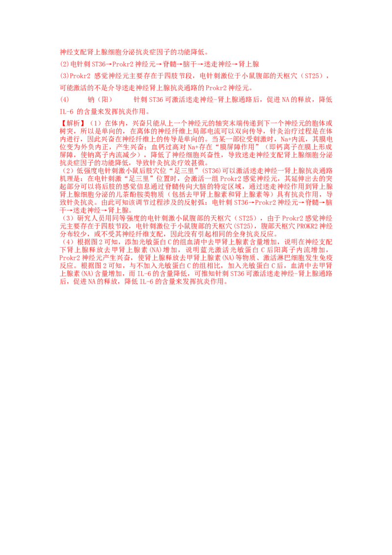 专题24神经调节（精练）（解析版）_2024年新高考资料_1.2024一轮复习_备战2024年高考生物一轮复习串讲精练（新高考专用）