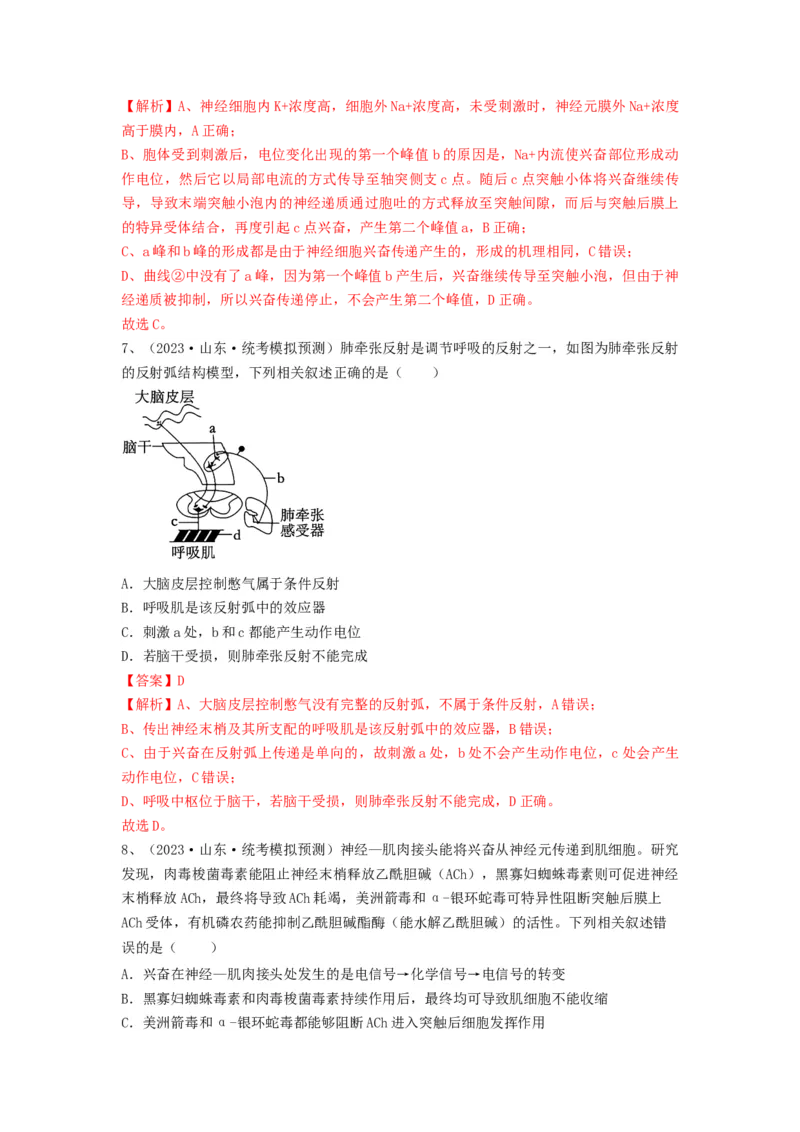 专题24神经调节（精练）（解析版）_2024年新高考资料_1.2024一轮复习_备战2024年高考生物一轮复习串讲精练（新高考专用）