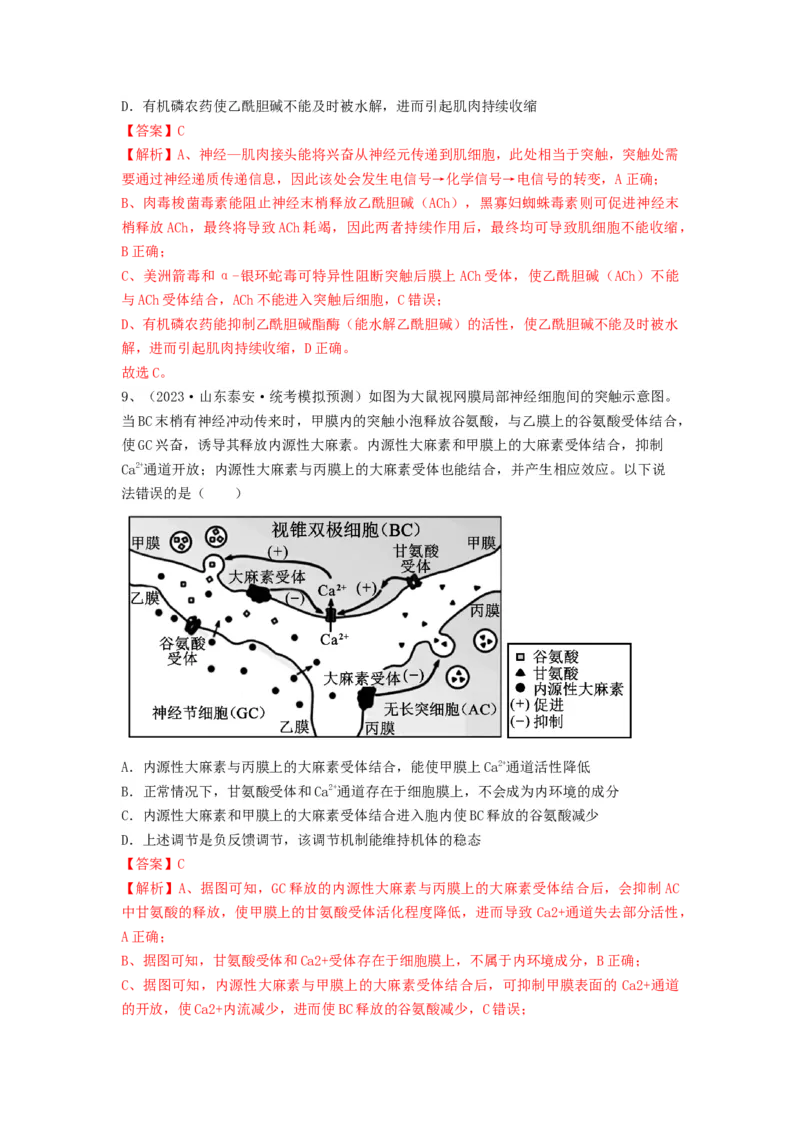 专题24神经调节（精练）（解析版）_2024年新高考资料_1.2024一轮复习_备战2024年高考生物一轮复习串讲精练（新高考专用）