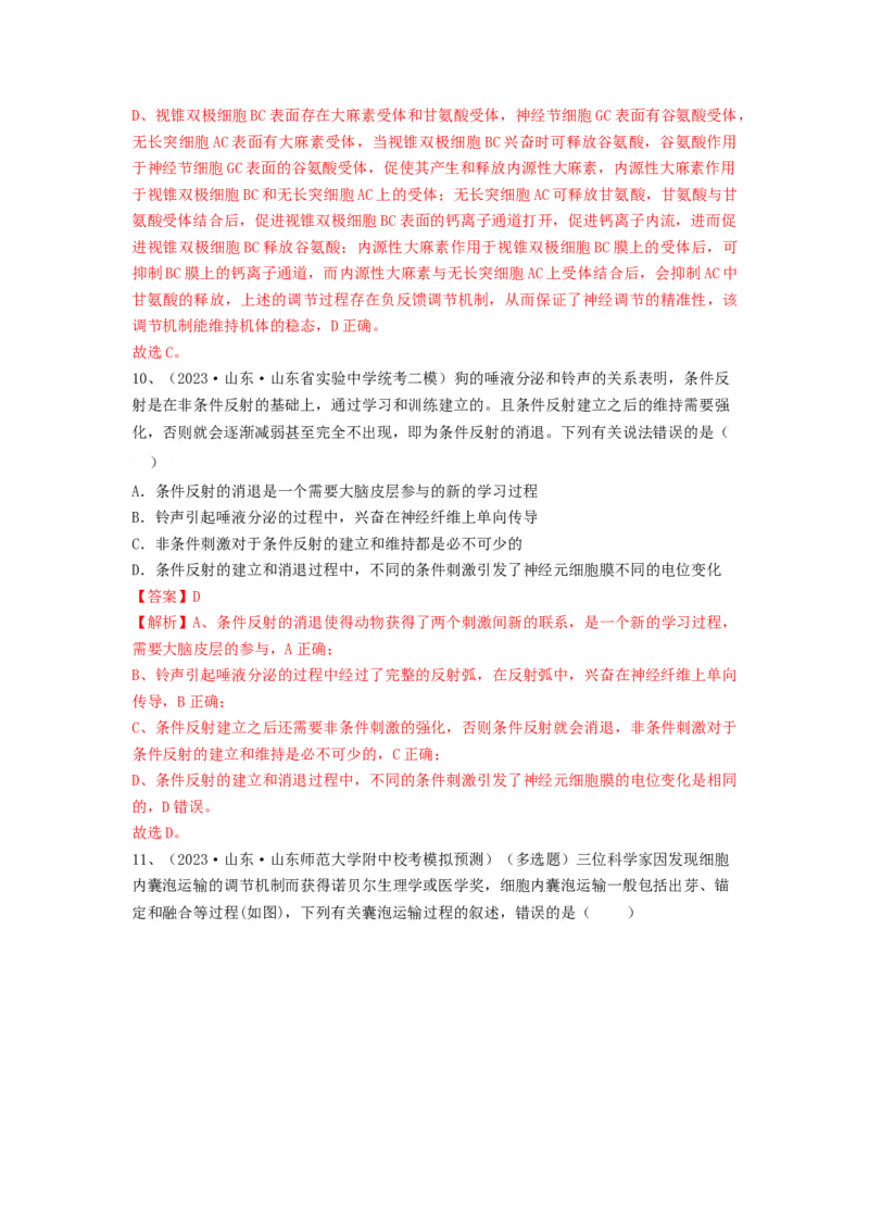 专题24神经调节（精练）（解析版）_2024年新高考资料_1.2024一轮复习_备战2024年高考生物一轮复习串讲精练（新高考专用）