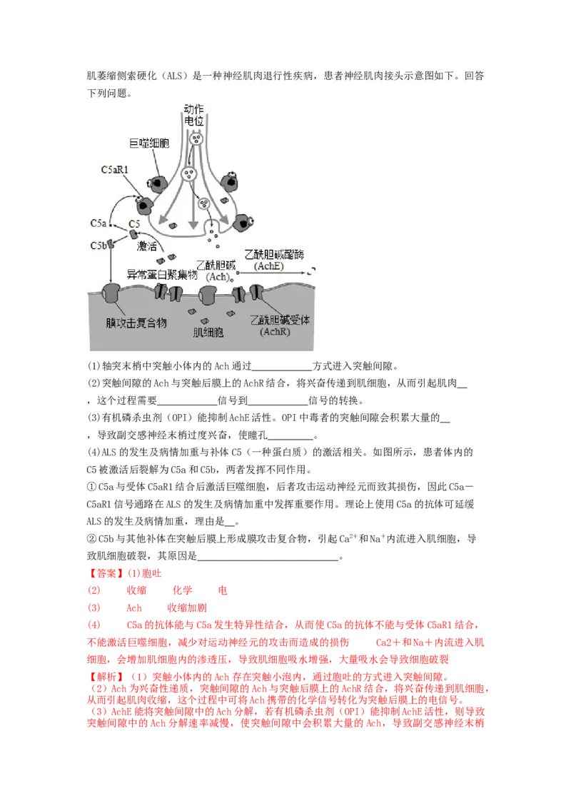 专题24神经调节（精练）（解析版）_2024年新高考资料_1.2024一轮复习_备战2024年高考生物一轮复习串讲精练（新高考专用）