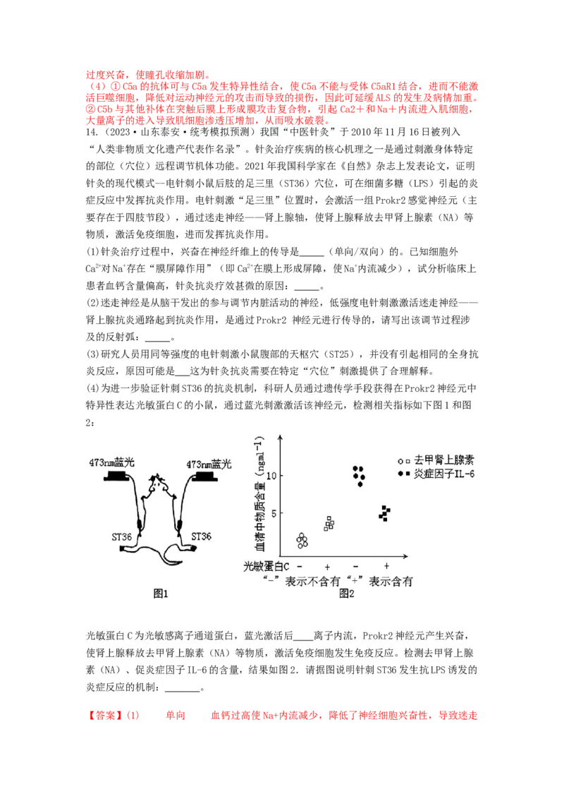 专题24神经调节（精练）（解析版）_2024年新高考资料_1.2024一轮复习_备战2024年高考生物一轮复习串讲精练（新高考专用）