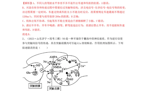 专题24神经调节（精练）（解析版）_2024年新高考资料_1.2024一轮复习_备战2024年高考生物一轮复习串讲精练（新高考专用）
