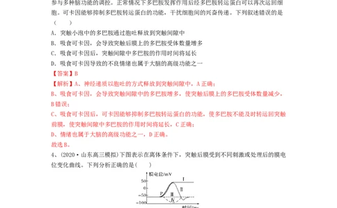 专题24神经调节（精练）（解析版）_2024年新高考资料_1.2024一轮复习_备战2024年高考生物一轮复习串讲精练（新高考专用）