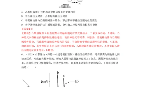 专题24神经调节（精练）（解析版）_2024年新高考资料_1.2024一轮复习_备战2024年高考生物一轮复习串讲精练（新高考专用）