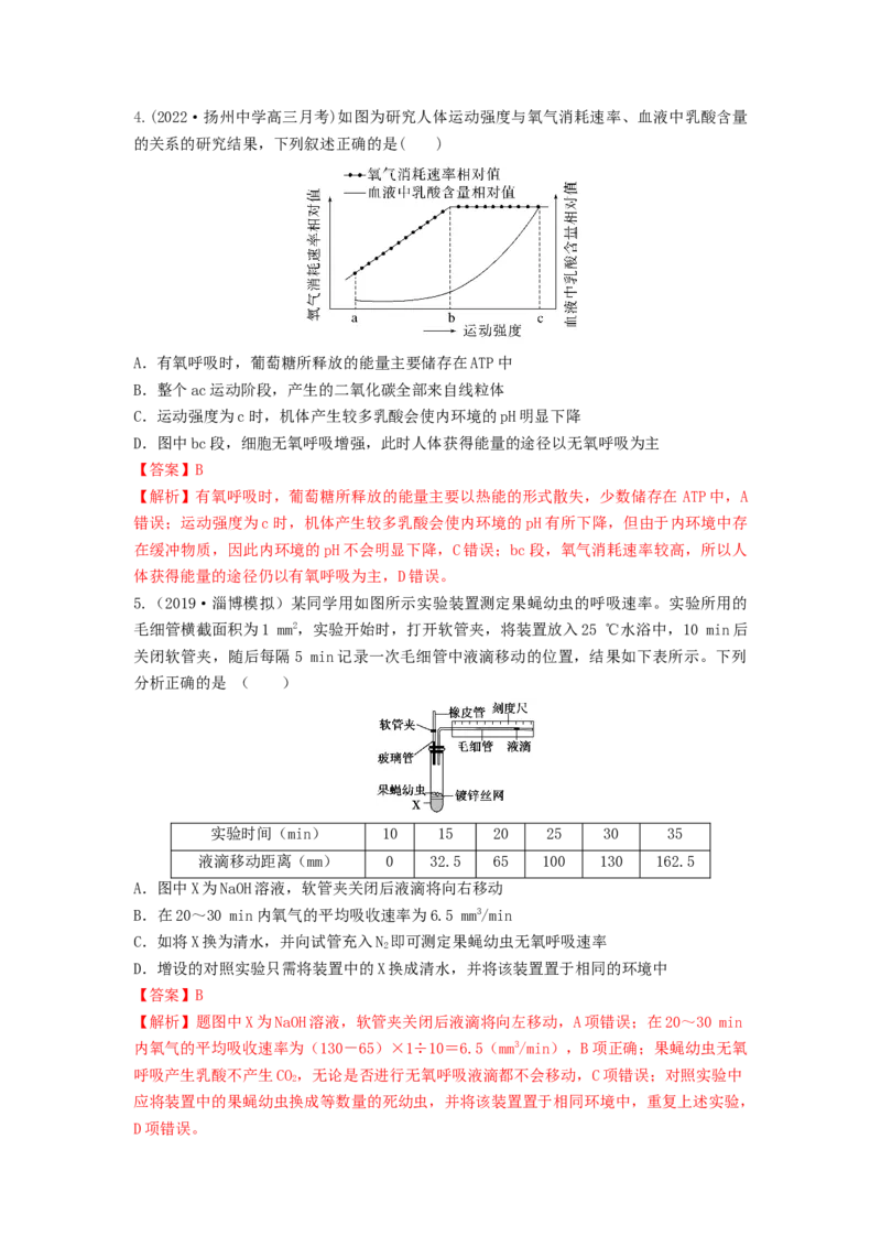 专题08细胞呼吸（串讲）（解析版）_2024年新高考资料_1.2024一轮复习_备战2024年高考生物一轮复习串讲精练（新高考专用）