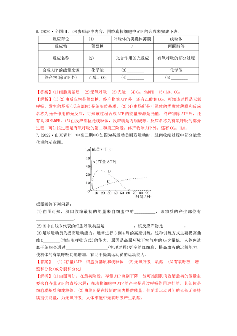 专题08细胞呼吸（串讲）（解析版）_2024年新高考资料_1.2024一轮复习_备战2024年高考生物一轮复习串讲精练（新高考专用）