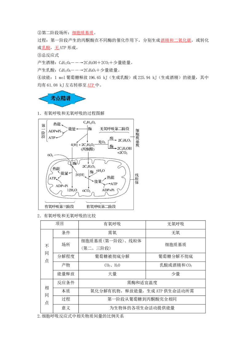 专题08细胞呼吸（串讲）（解析版）_2024年新高考资料_1.2024一轮复习_备战2024年高考生物一轮复习串讲精练（新高考专用）
