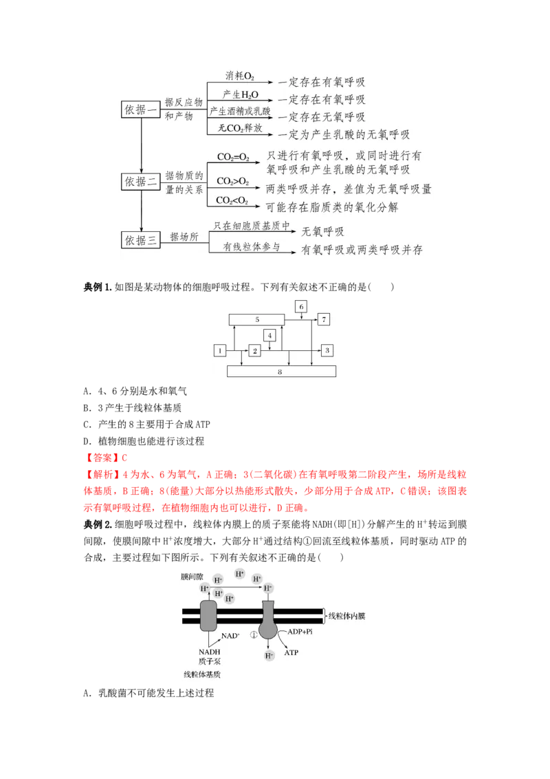 专题08细胞呼吸（串讲）（解析版）_2024年新高考资料_1.2024一轮复习_备战2024年高考生物一轮复习串讲精练（新高考专用）
