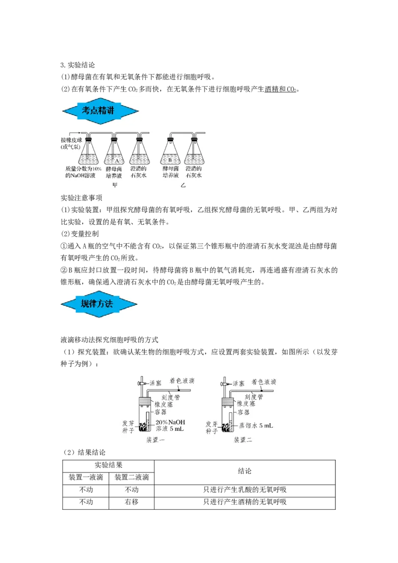 专题08细胞呼吸（串讲）（解析版）_2024年新高考资料_1.2024一轮复习_备战2024年高考生物一轮复习串讲精练（新高考专用）
