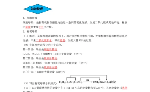专题08细胞呼吸（串讲）（解析版）_2024年新高考资料_1.2024一轮复习_备战2024年高考生物一轮复习串讲精练（新高考专用）