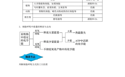 专题08细胞呼吸（串讲）（解析版）_2024年新高考资料_1.2024一轮复习_备战2024年高考生物一轮复习串讲精练（新高考专用）