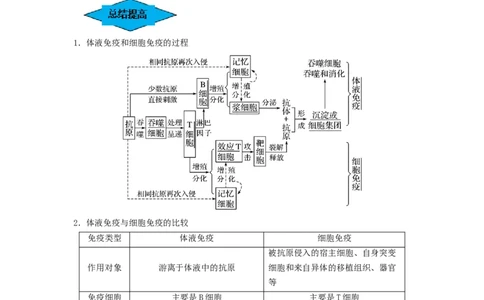 专题26免疫调节（串讲）（解析版）_2024年新高考资料_1.2024一轮复习_备战2024年高考生物一轮复习串讲精练（新高考专用）