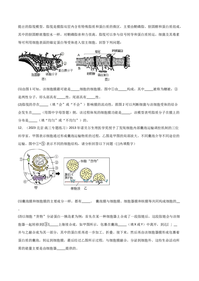 专题02细胞的结构和功能（原卷版）_2024年新高考资料_3.2024专项复习_2024年高考生物热点&middot;重点&middot;难点专练（新高考专用）