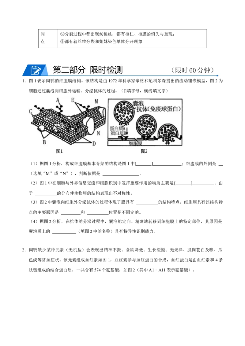 专题01细胞的结构及细胞分裂（原卷版）_2024年新高考资料_3.2024专项复习_2024年高考生物热点&middot;重点&middot;难点专练（上海专用）