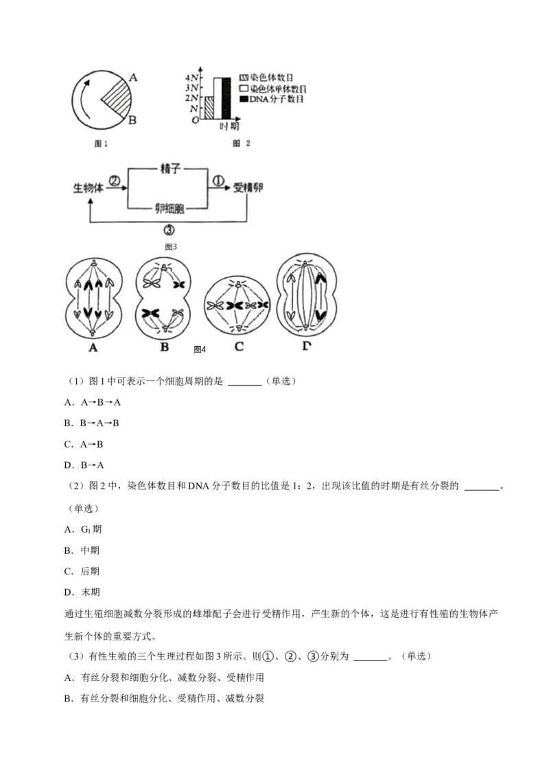 专题01细胞的结构及细胞分裂（原卷版）_2024年新高考资料_3.2024专项复习_2024年高考生物热点&middot;重点&middot;难点专练（上海专用）