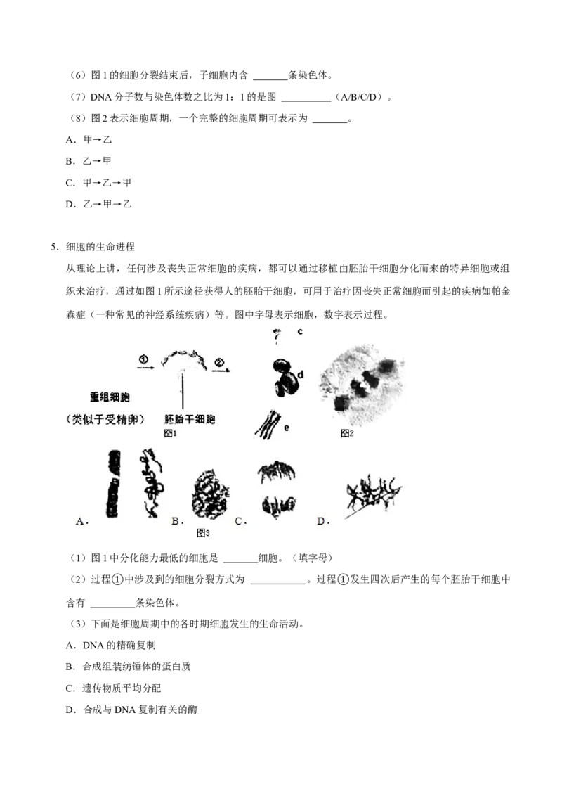 专题01细胞的结构及细胞分裂（原卷版）_2024年新高考资料_3.2024专项复习_2024年高考生物热点&middot;重点&middot;难点专练（上海专用）