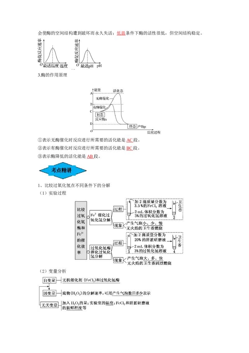 专题07酶和ATP（串讲）（解析版）_2024年新高考资料_1.2024一轮复习_备战2024年高考生物一轮复习串讲精练（新高考专用）