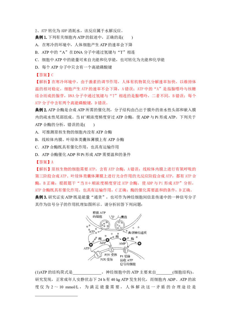 专题07酶和ATP（串讲）（解析版）_2024年新高考资料_1.2024一轮复习_备战2024年高考生物一轮复习串讲精练（新高考专用）