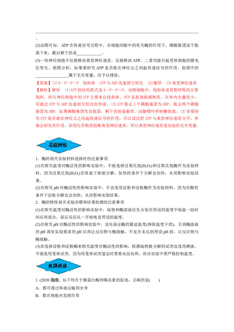 专题07酶和ATP（串讲）（解析版）_2024年新高考资料_1.2024一轮复习_备战2024年高考生物一轮复习串讲精练（新高考专用）