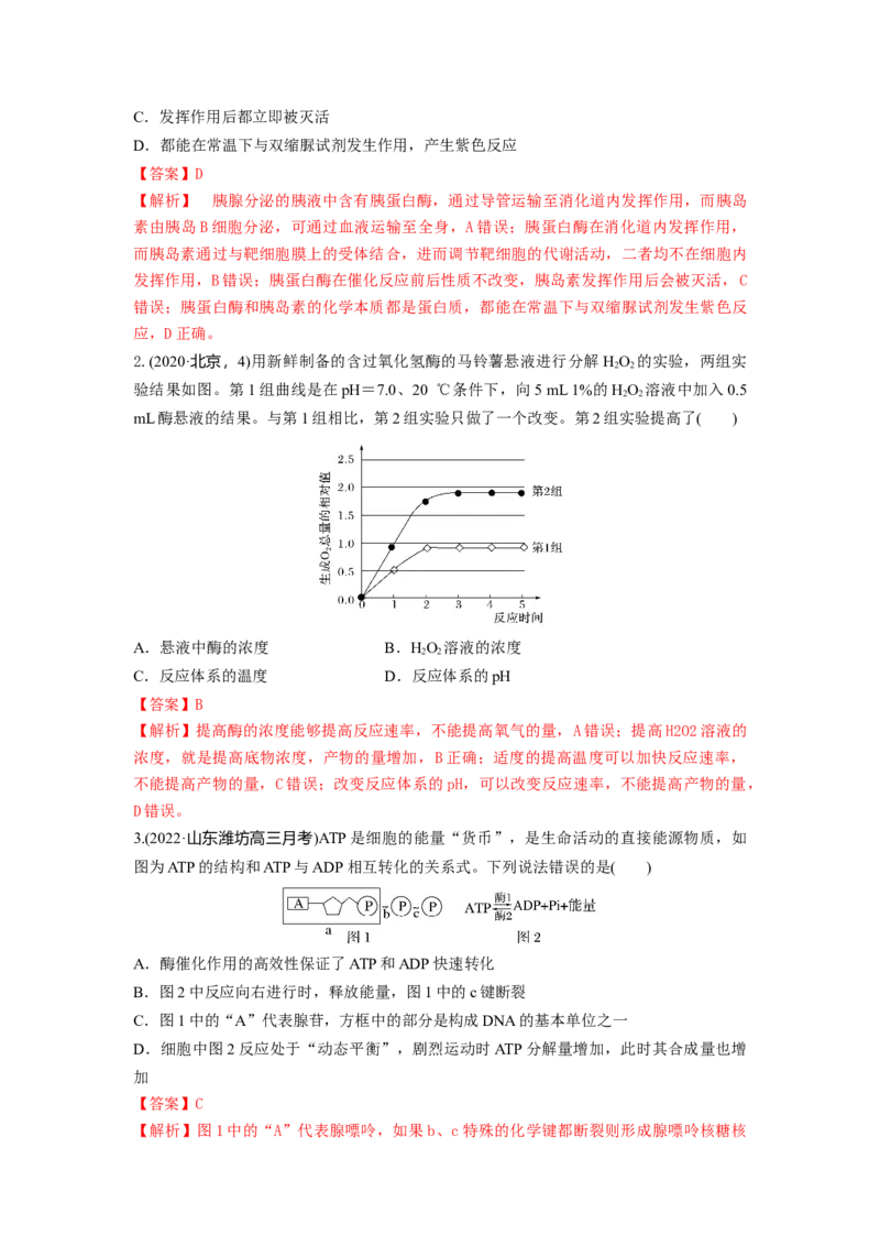 专题07酶和ATP（串讲）（解析版）_2024年新高考资料_1.2024一轮复习_备战2024年高考生物一轮复习串讲精练（新高考专用）