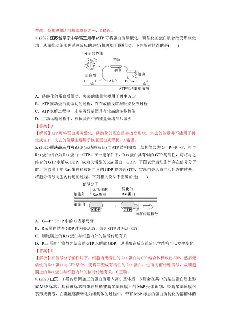 专题07酶和ATP（串讲）（解析版）_2024年新高考资料_1.2024一轮复习_备战2024年高考生物一轮复习串讲精练（新高考专用）
