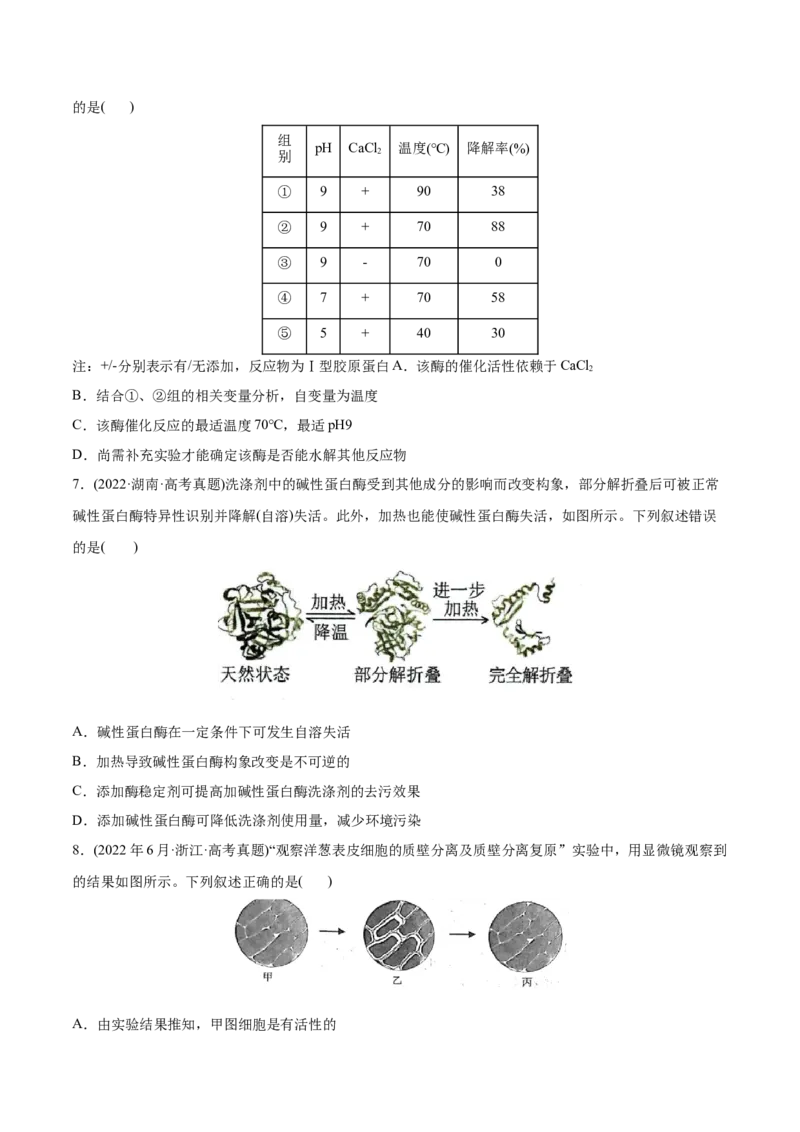 专题02细胞的物质运输、酶与ATP-2022年高考真题和模拟题生物分专题训练（学生版）_2024年新高考资料_1.2024一轮复习_赠2022年高考生物真题与模拟题分类