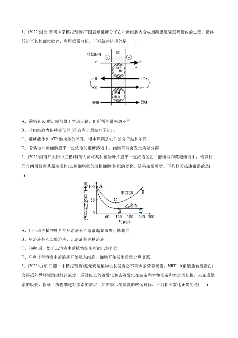 专题02细胞的物质运输、酶与ATP-2022年高考真题和模拟题生物分专题训练（学生版）_2024年新高考资料_1.2024一轮复习_赠2022年高考生物真题与模拟题分类