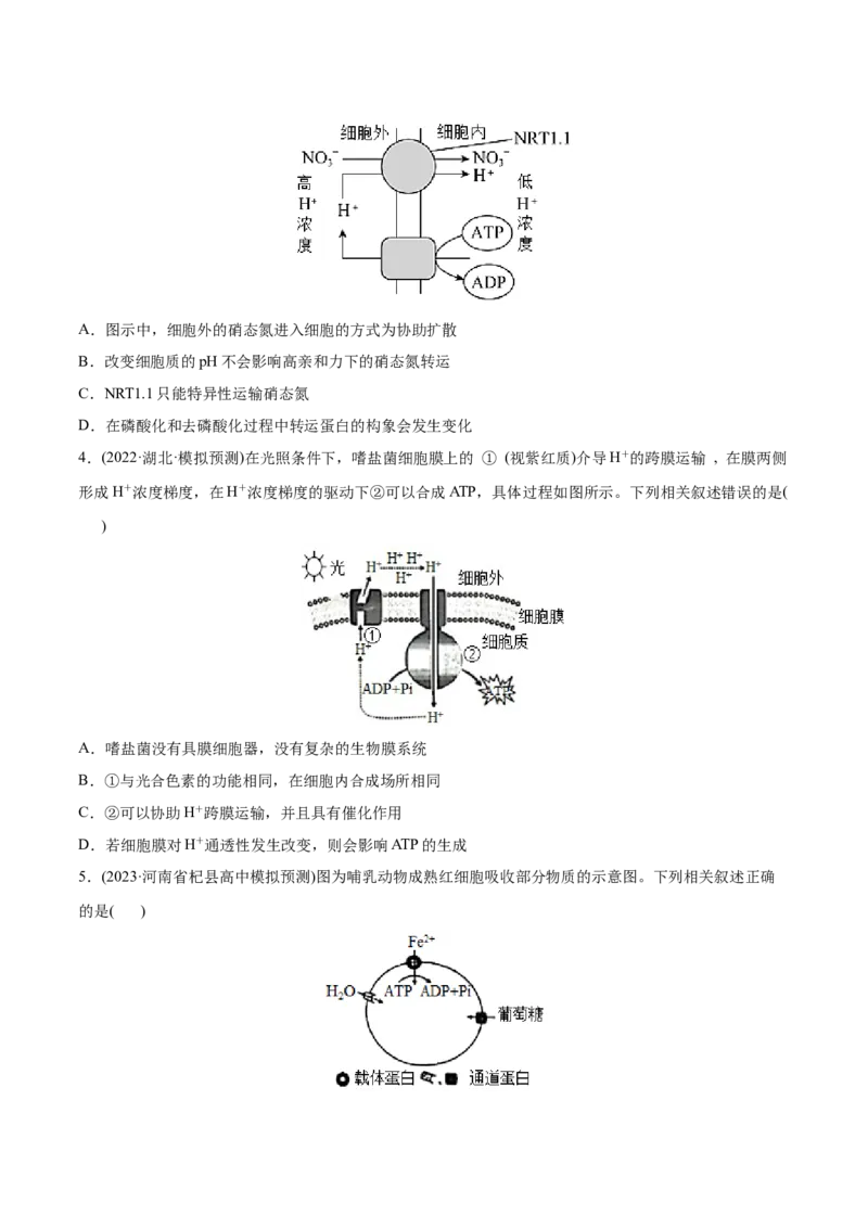专题02细胞的物质运输、酶与ATP-2022年高考真题和模拟题生物分专题训练（学生版）_2024年新高考资料_1.2024一轮复习_赠2022年高考生物真题与模拟题分类