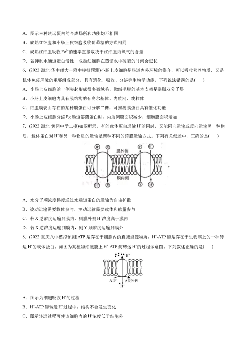 专题02细胞的物质运输、酶与ATP-2022年高考真题和模拟题生物分专题训练（学生版）_2024年新高考资料_1.2024一轮复习_赠2022年高考生物真题与模拟题分类