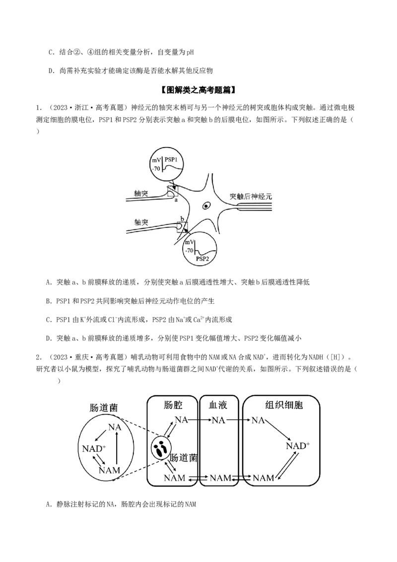 抢分11选择题冲刺篇（学生版）_2024年新高考资料_5.2024三轮冲刺_备战2024年高考生物抢分秘籍（新高考专用）321842314