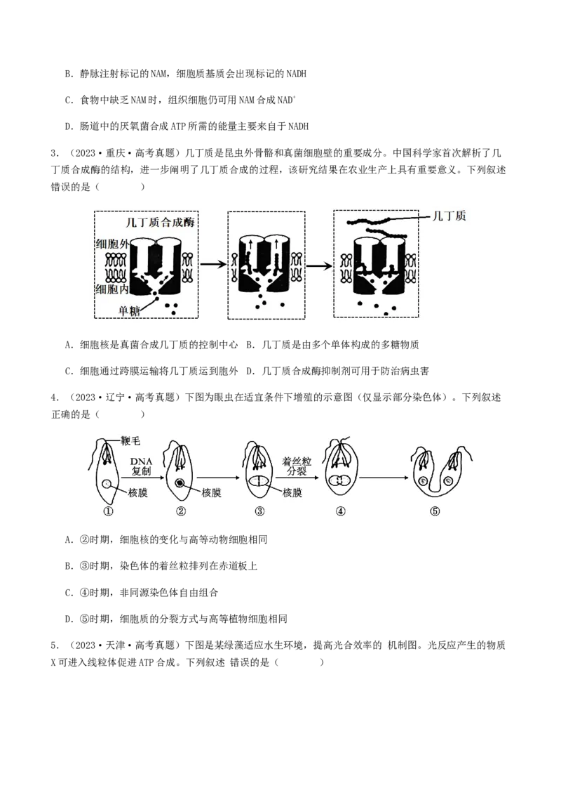 抢分11选择题冲刺篇（学生版）_2024年新高考资料_5.2024三轮冲刺_备战2024年高考生物抢分秘籍（新高考专用）321842314