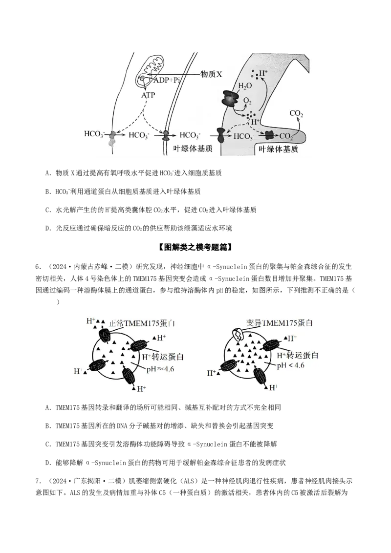 抢分11选择题冲刺篇（学生版）_2024年新高考资料_5.2024三轮冲刺_备战2024年高考生物抢分秘籍（新高考专用）321842314