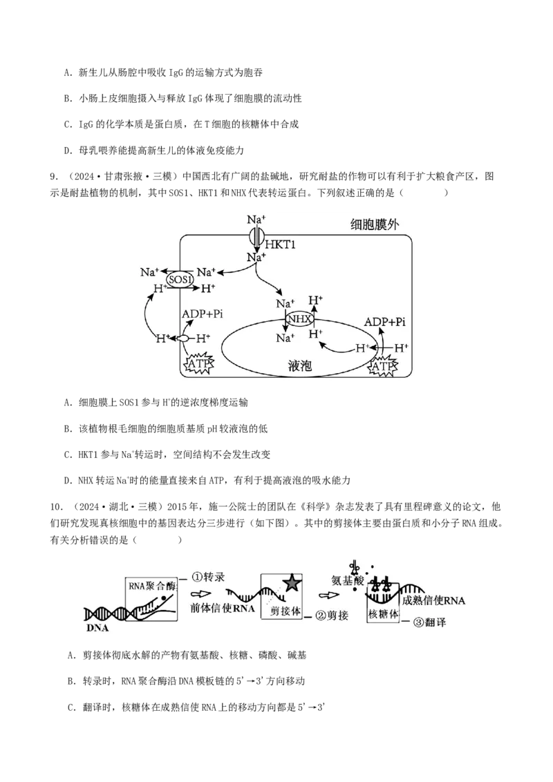 抢分11选择题冲刺篇（学生版）_2024年新高考资料_5.2024三轮冲刺_备战2024年高考生物抢分秘籍（新高考专用）321842314