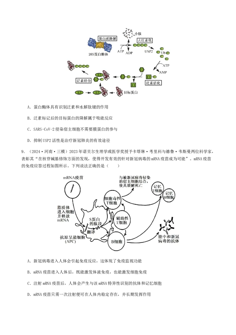 抢分11选择题冲刺篇（学生版）_2024年新高考资料_5.2024三轮冲刺_备战2024年高考生物抢分秘籍（新高考专用）321842314