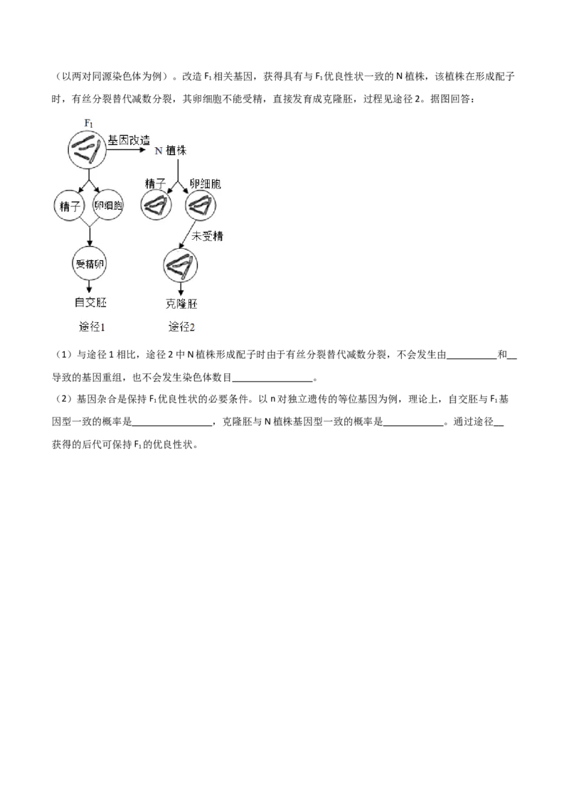 宝典06细胞的增殖和减数分裂（原卷版）_2024年新高考资料_1.2024一轮复习_2024年高考生物一轮复习知识清单