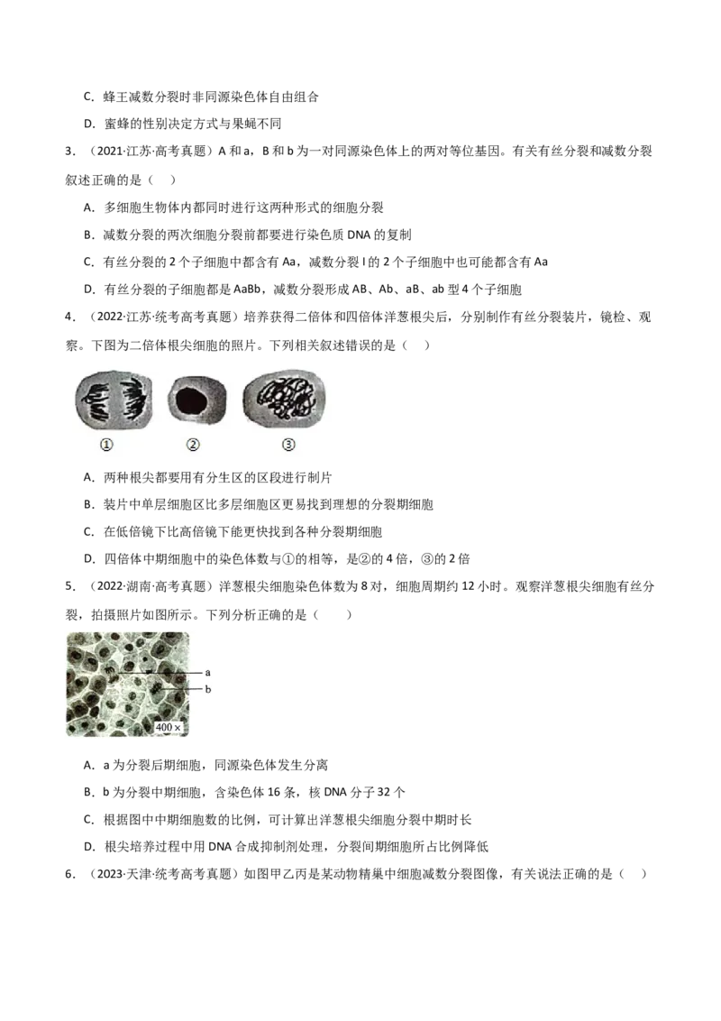 宝典06细胞的增殖和减数分裂（原卷版）_2024年新高考资料_1.2024一轮复习_2024年高考生物一轮复习知识清单