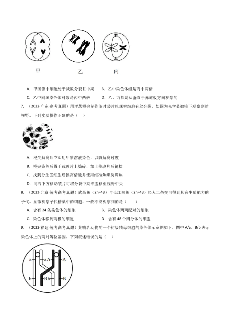 宝典06细胞的增殖和减数分裂（原卷版）_2024年新高考资料_1.2024一轮复习_2024年高考生物一轮复习知识清单