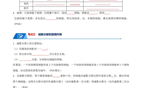 宝典06细胞的增殖和减数分裂（原卷版）_2024年新高考资料_1.2024一轮复习_2024年高考生物一轮复习知识清单
