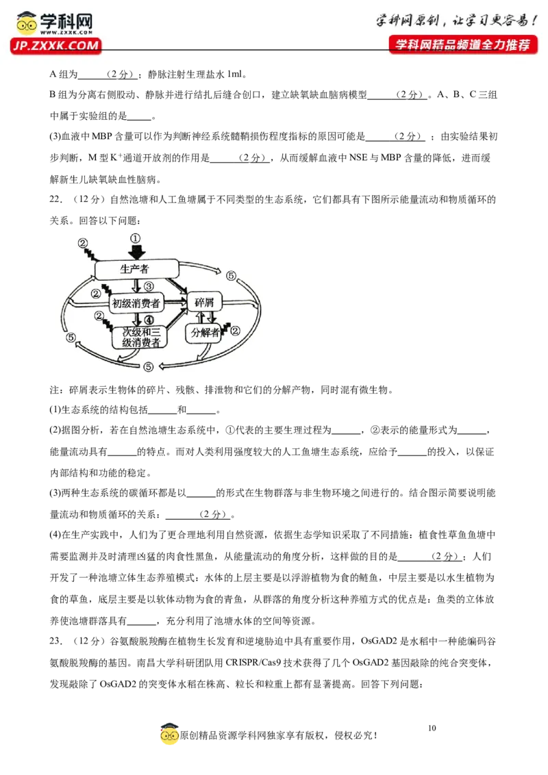 2024年高考冲刺模拟试卷（一）（解析版）_2024年新高考资料_5.2024三轮冲刺_2024年高考生物考前最后冲刺