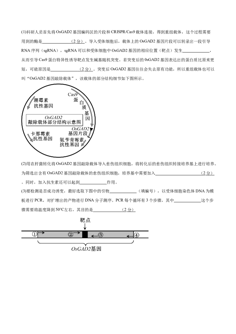2024年高考冲刺模拟试卷（一）（解析版）_2024年新高考资料_5.2024三轮冲刺_2024年高考生物考前最后冲刺