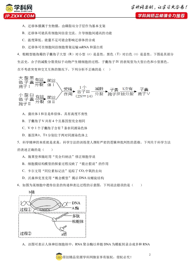 2024年高考冲刺模拟试卷（一）（解析版）_2024年新高考资料_5.2024三轮冲刺_2024年高考生物考前最后冲刺